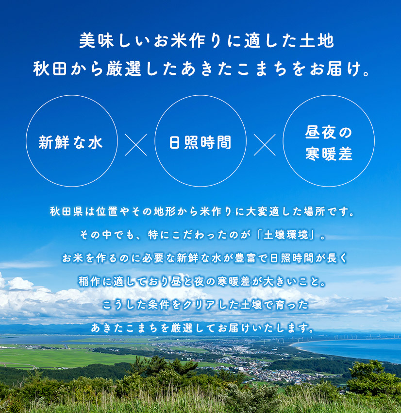 精米20kg】秋田県産 あきたこまち20kg 5kg×4袋 令和5年産 厳選された ...