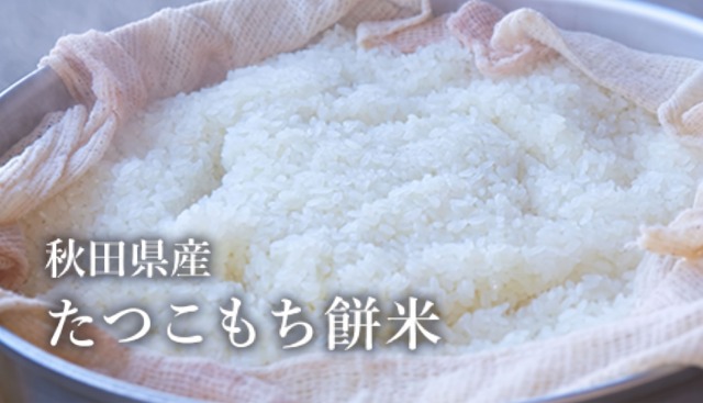 秋田県産 たつこもち餅米