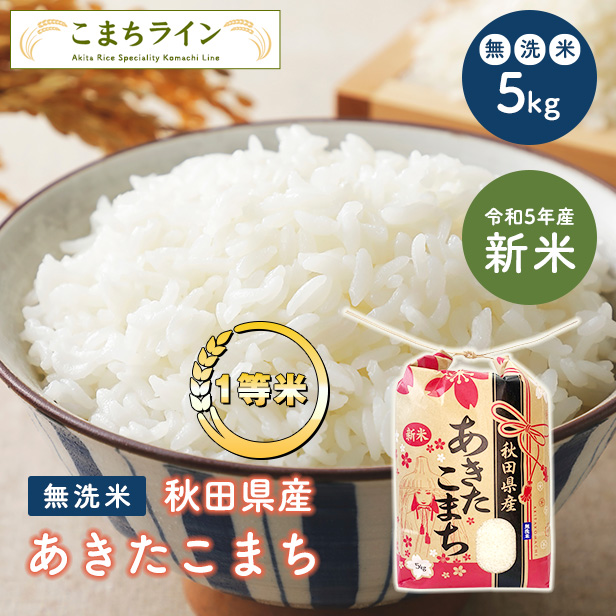 あきたこまち 令和5年産 新米 27kg 送料無料